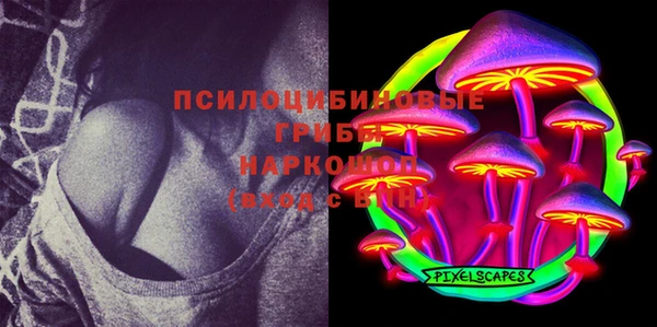 шишки Абдулино