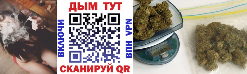 Каннабис сатива  Сурск 